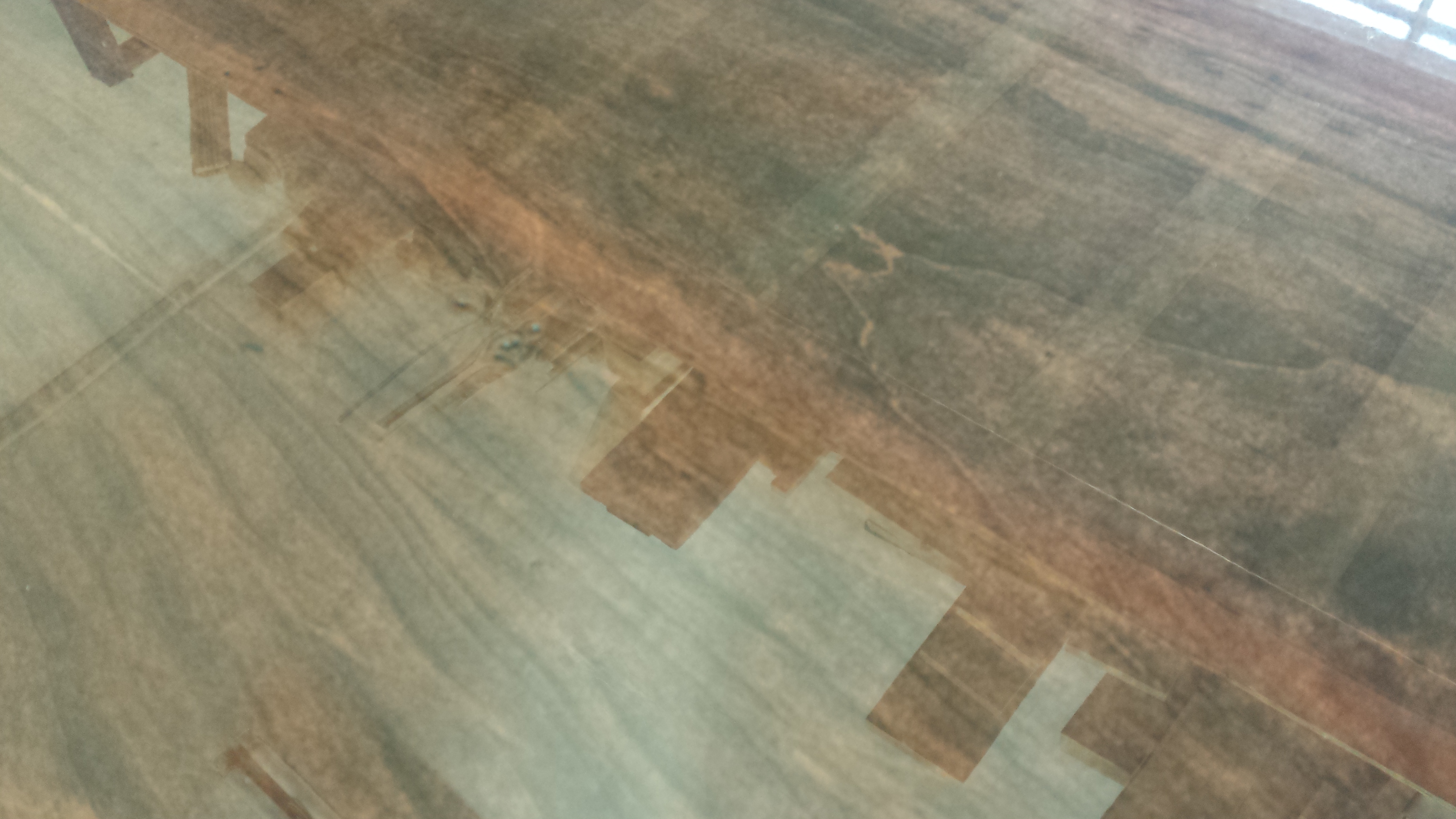 Wormy Maple Table Top